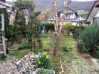 IMG_1486.JPG