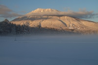 IMG_4440.JPG