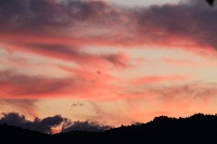 IMG_6468.jpg