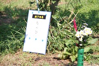 IMG_7677.jpg