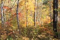 IMG_8949.jpg