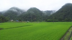 DSC_0003.JPG