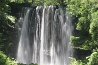 IMG_6805.jpg
