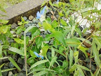 IMG_20140812_113624.jpg