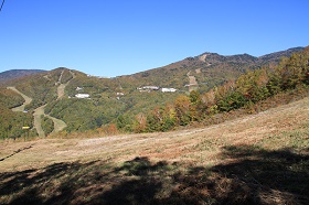IMG_4033.JPG