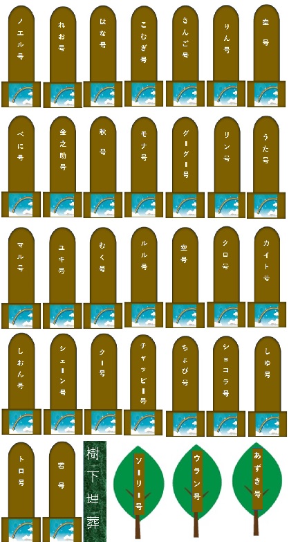 2000.jpg