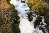 IMG_5329.jpg
