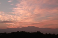 IMG_8820.JPG