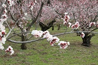 IMG_2750.JPG