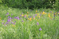 IMG_1476.JPG