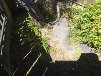 IMG_20170402_134404.jpg