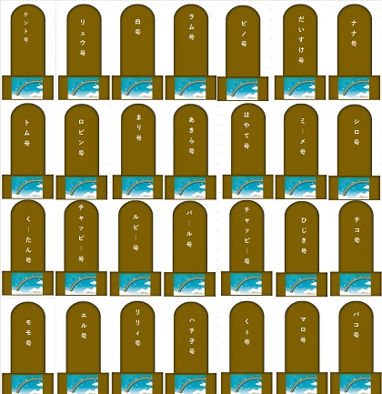 100.jpg