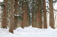 IMG_0458.jpg