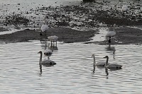 IMG_2112.jpg