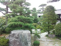 IMG_20140807_134634.jpg