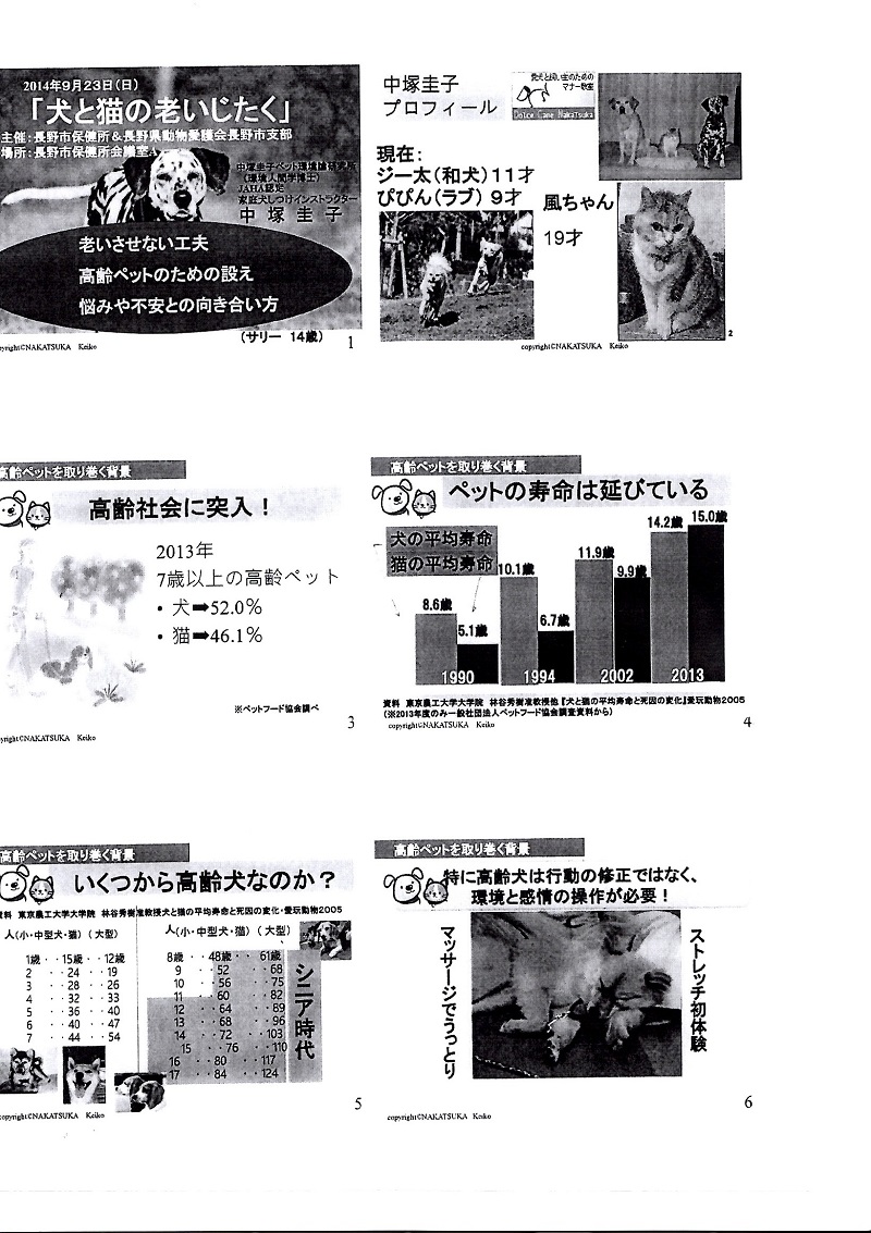 EPSON009.JPG