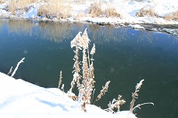 IMG_0769.JPG