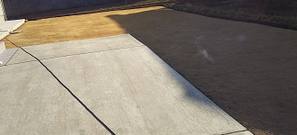 .jpg