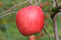 IMG_2167.jpg