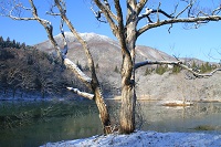 IMG_2983.jpg