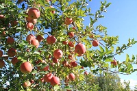 IMG_9729.jpg