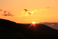 IMG_7941.jpg