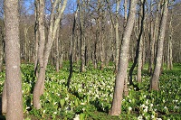 IMG_5577.jpg