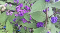 2016100307030000.jpg
