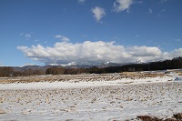 IMG_3121.jpg