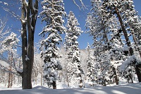 IMG_4017.jpg