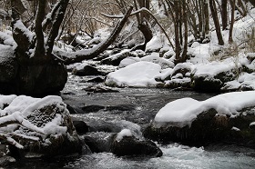 IMG_6547.jpg