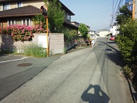 003.jpg
