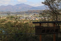 IMG_9210.JPG