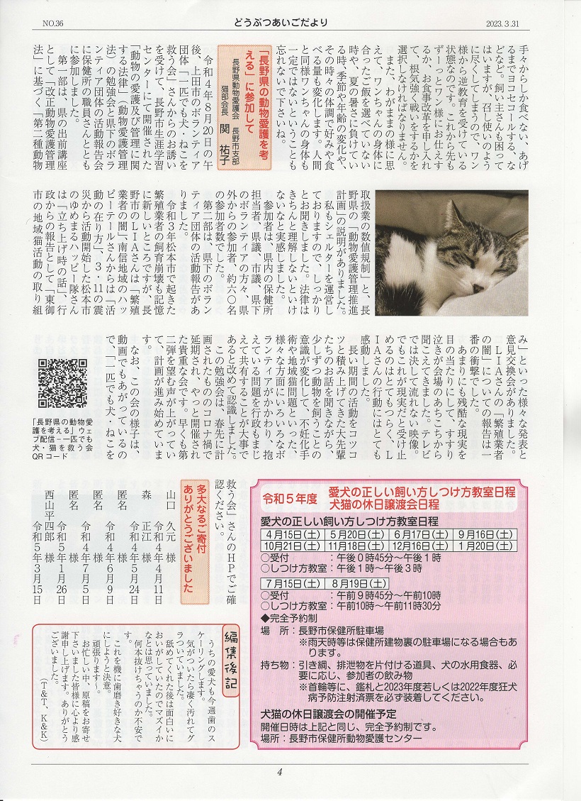 04.jpg