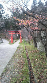 2011112314450000.jpg