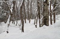 IMG_3642.jpg