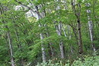 IMG_4062.jpg