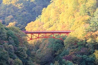 IMG_8896.jpg
