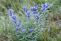 IMG_7513.JPG
