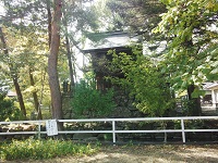 DSC_0040.jpg