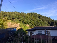 IMG_1547.JPG