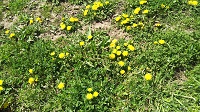 DSC_0012.JPG