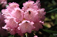 IMG_7945.JPG