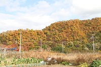 IMG_2091.jpg