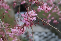 IMG_3022.jpg
