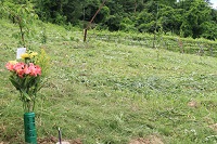 IMG_4181.JPG