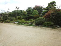 DSC_0089.jpg