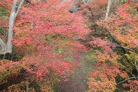IMG_2144.jpg