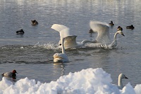 IMG_1310.JPG
