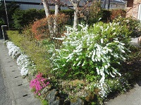 2555.jpg